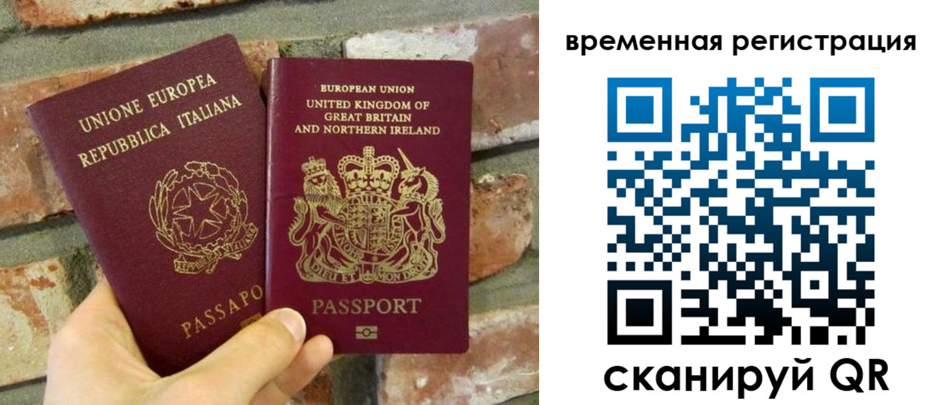 прописка для школы в Кировске